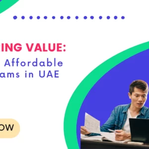 Affordable MBA Programs in UAE - social image - TNEI
