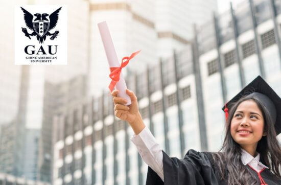 bsc in economics img