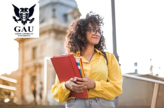 bsc in international business management img
