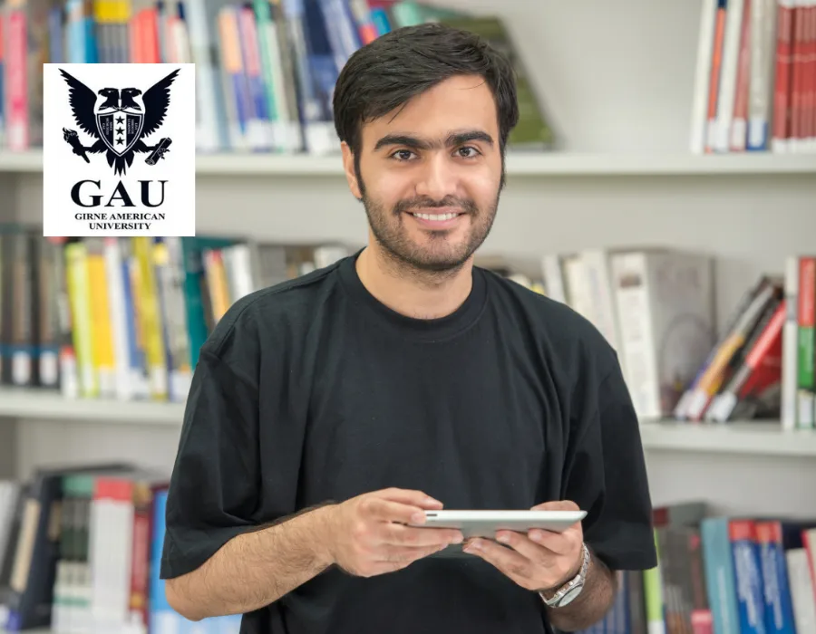 BSc in Management Information Systems img